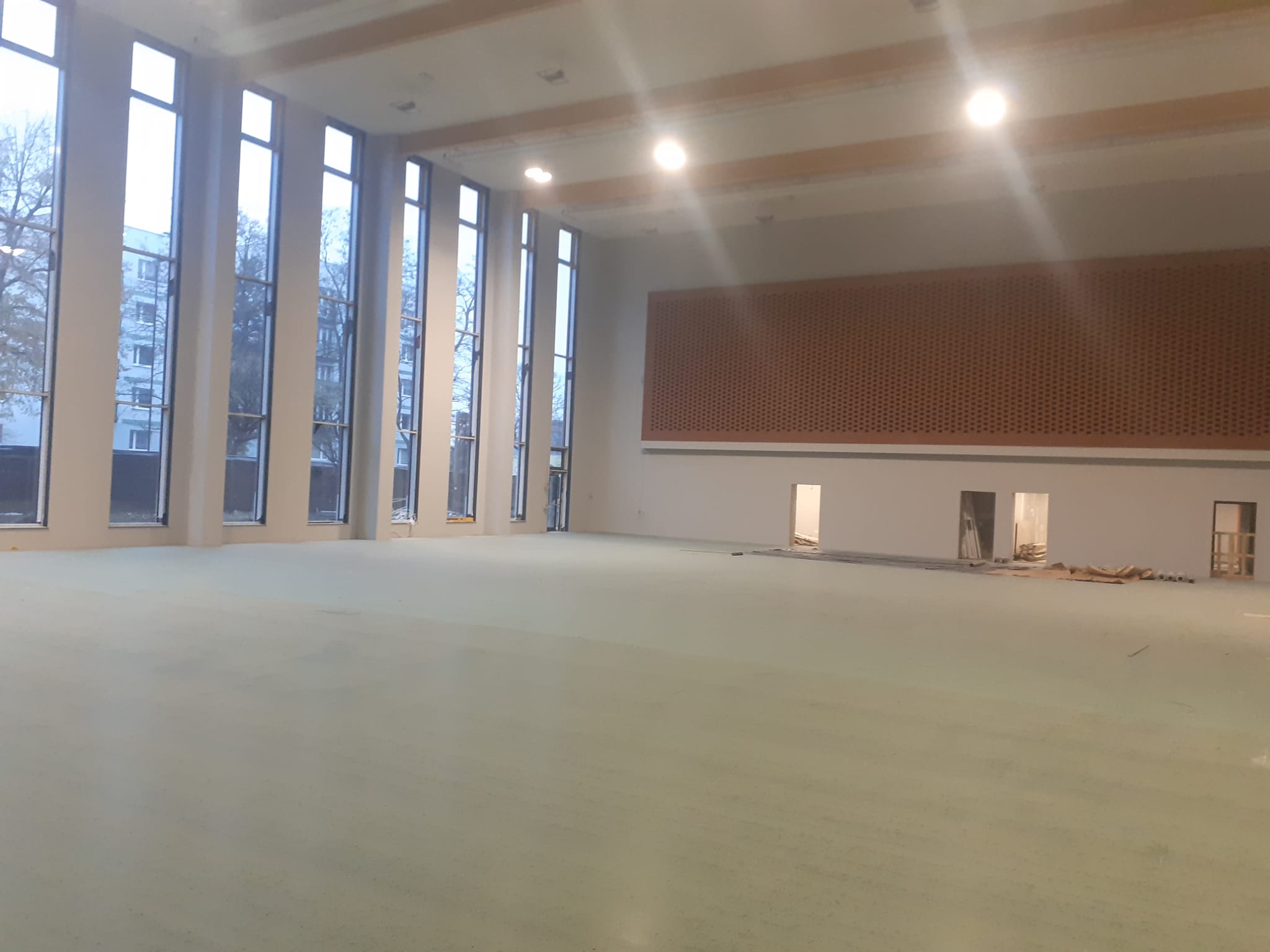 Zdjęcie przedstawiające iglaki posadzone w rzędzie pod betonowym płotem