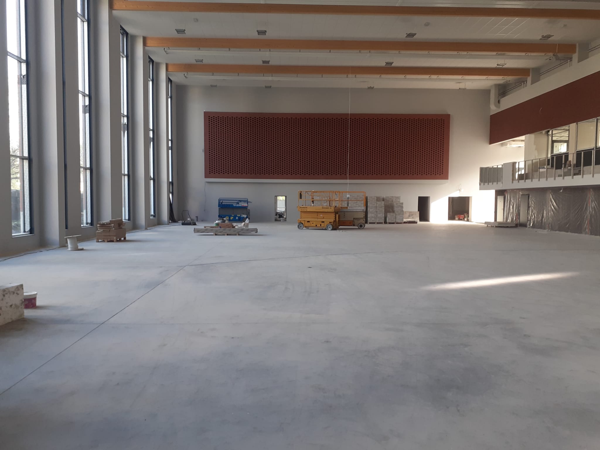 Zdjęcie przedstawiające drabinę, która stoi pod żywopłotem, który jest w trakcie przycinania